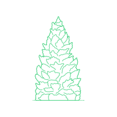 Plants Spruces Meyer Spruce Stencil Svg Vector, Free Vectors File
